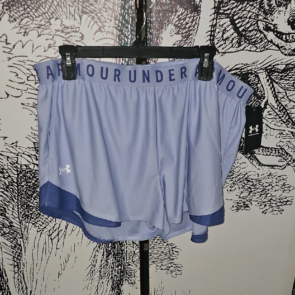 Under Armour Women's Blue Shorts